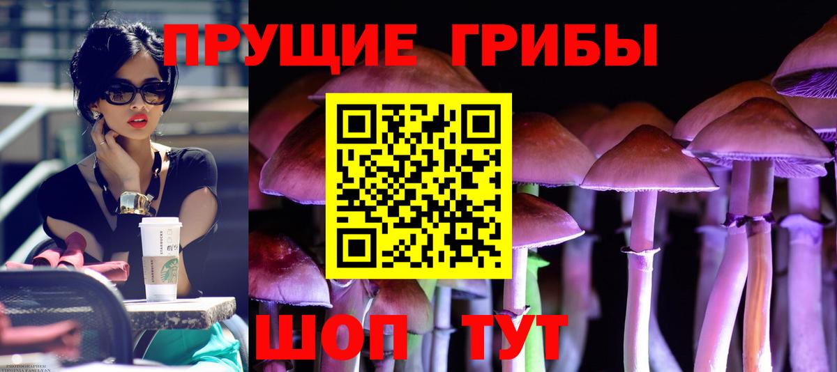 Псилоцибиновые грибы ЛСД Сосновоборск